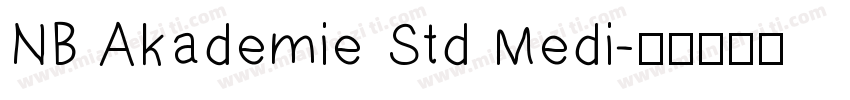 NB Akademie Std Medi字体转换
